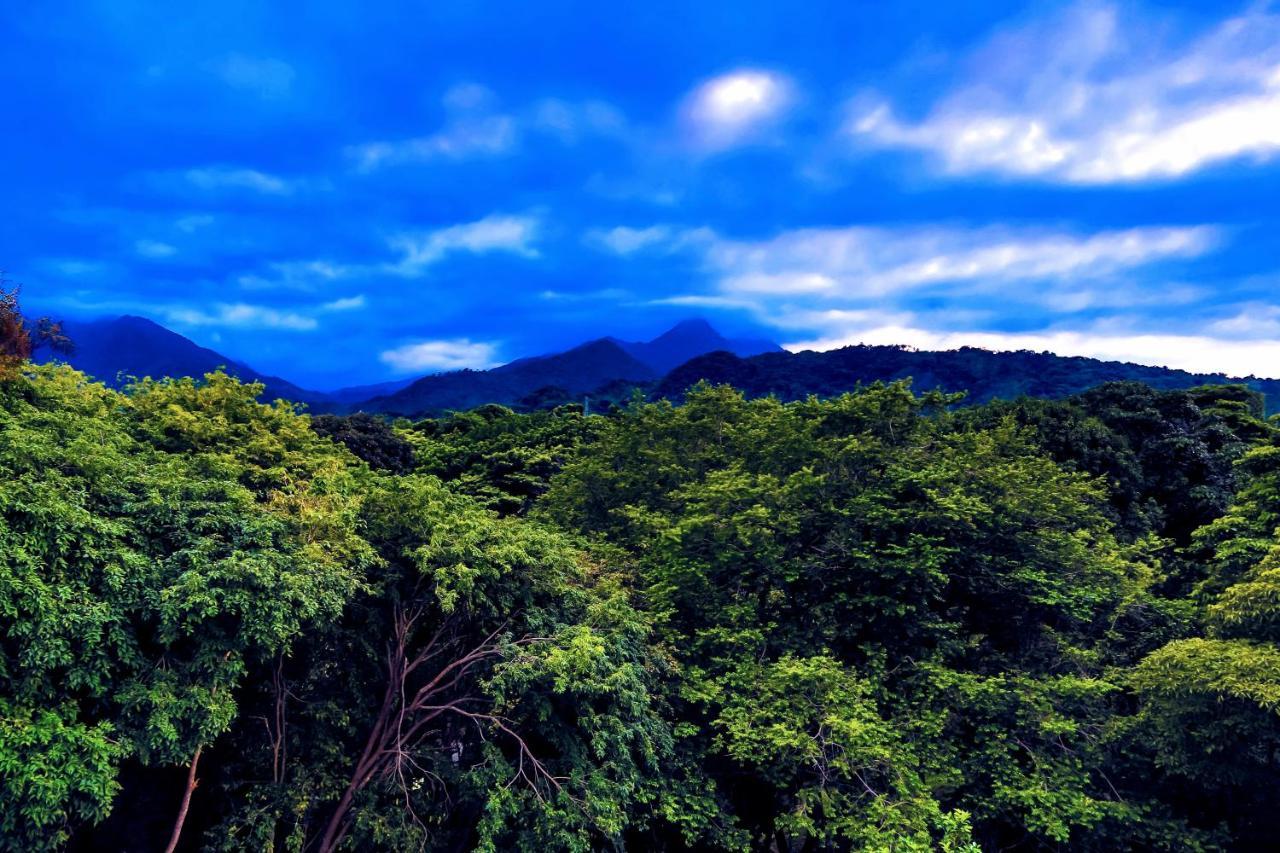 Villa Maria Tayrona, Jungle And Sea Experience Los Naranjos Ngoại thất bức ảnh