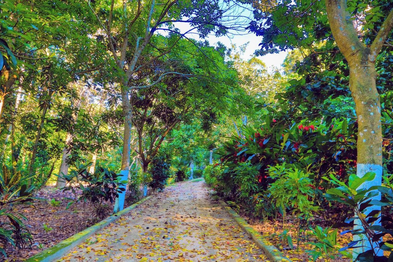 Villa Maria Tayrona, Jungle And Sea Experience Los Naranjos Ngoại thất bức ảnh