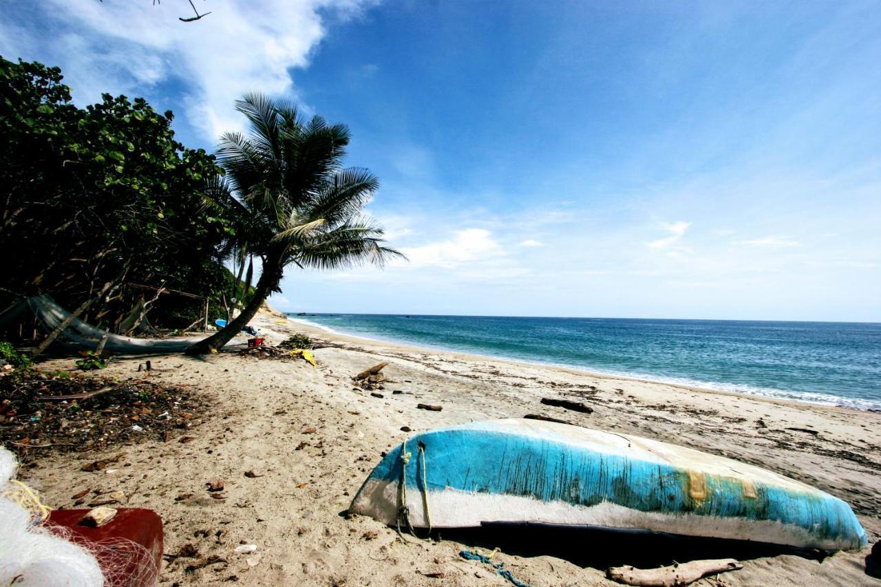 Villa Maria Tayrona, Jungle And Sea Experience Los Naranjos Ngoại thất bức ảnh