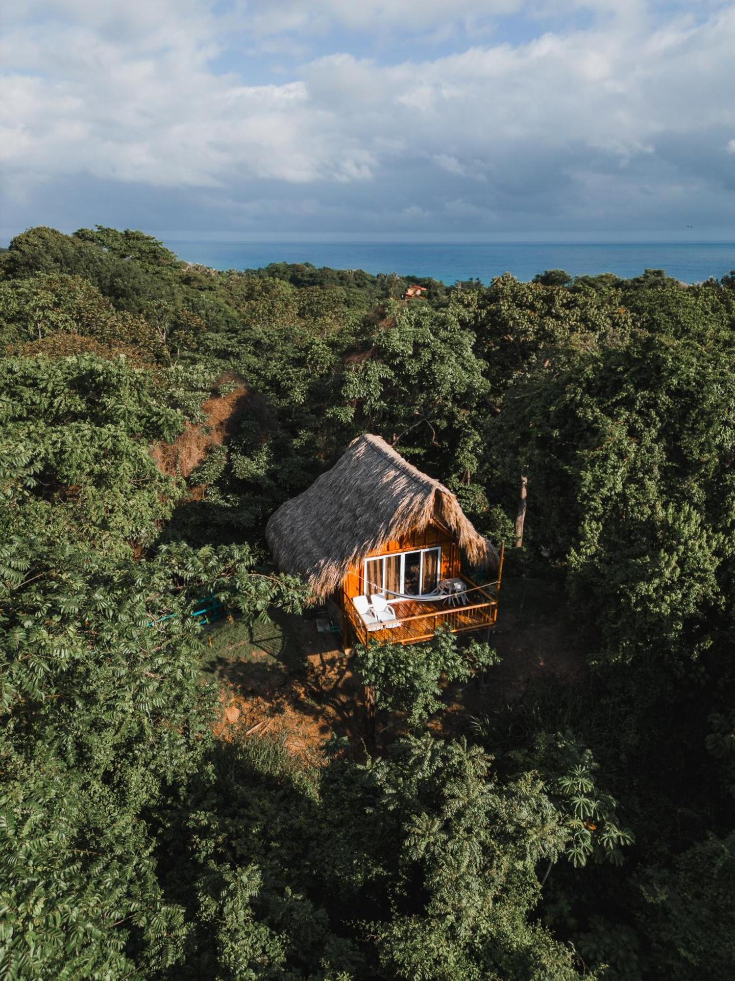Villa Maria Tayrona, Jungle And Sea Experience Los Naranjos Ngoại thất bức ảnh
