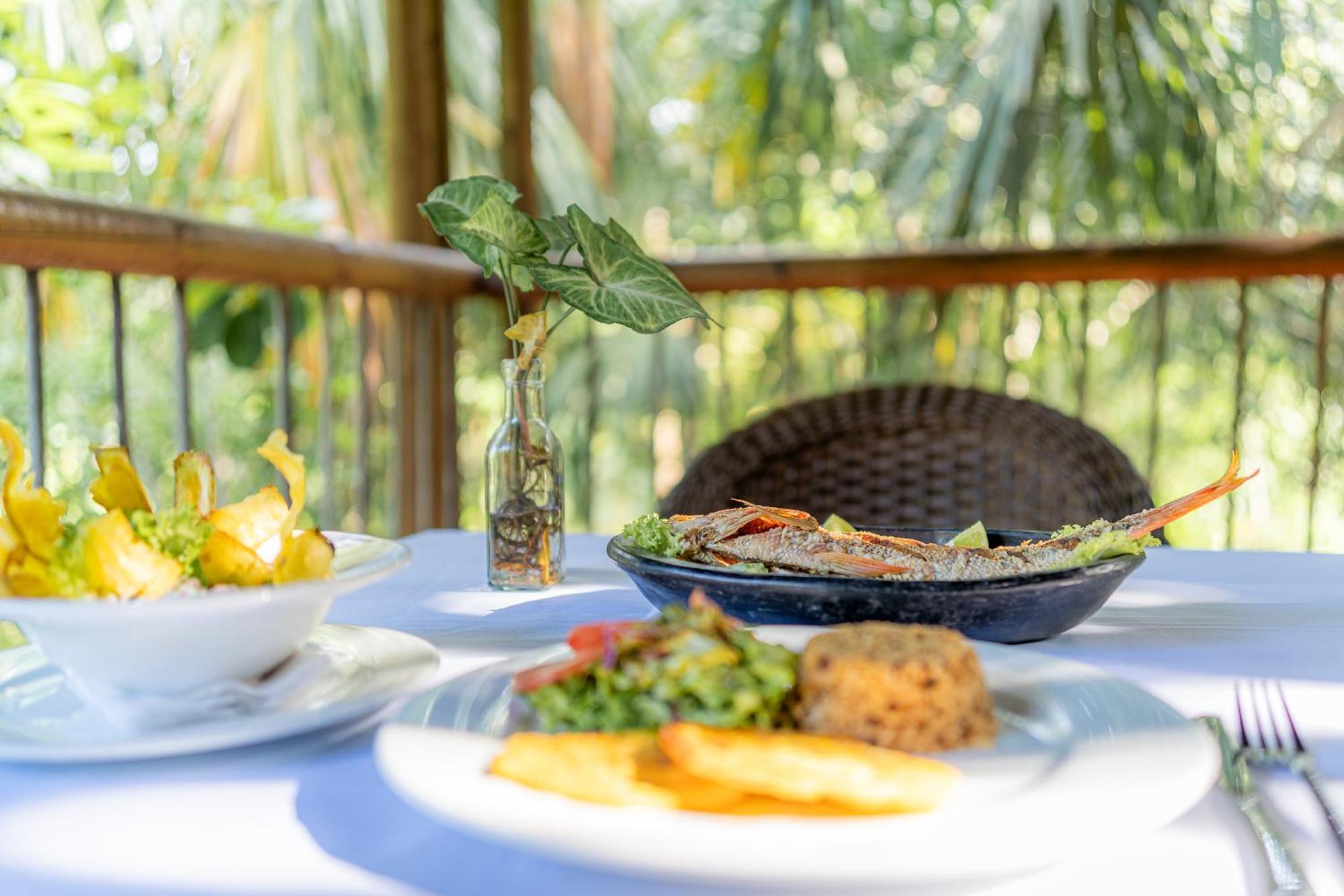 Villa Maria Tayrona, Jungle And Sea Experience Los Naranjos Ngoại thất bức ảnh